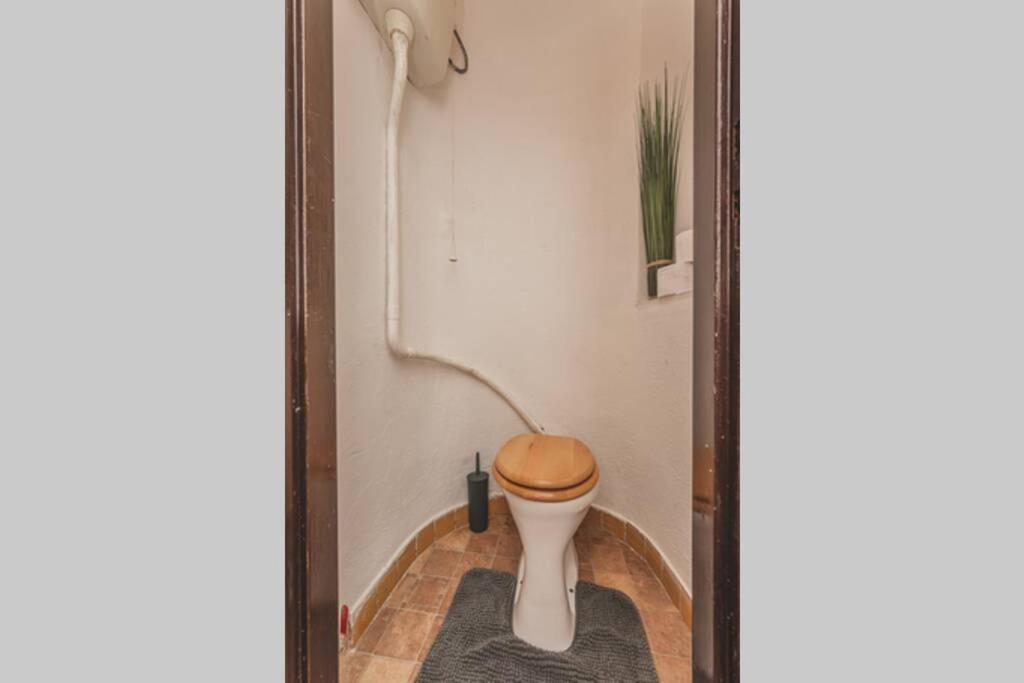 Carolina'S Central Apartment Hradec Králové Екстериор снимка